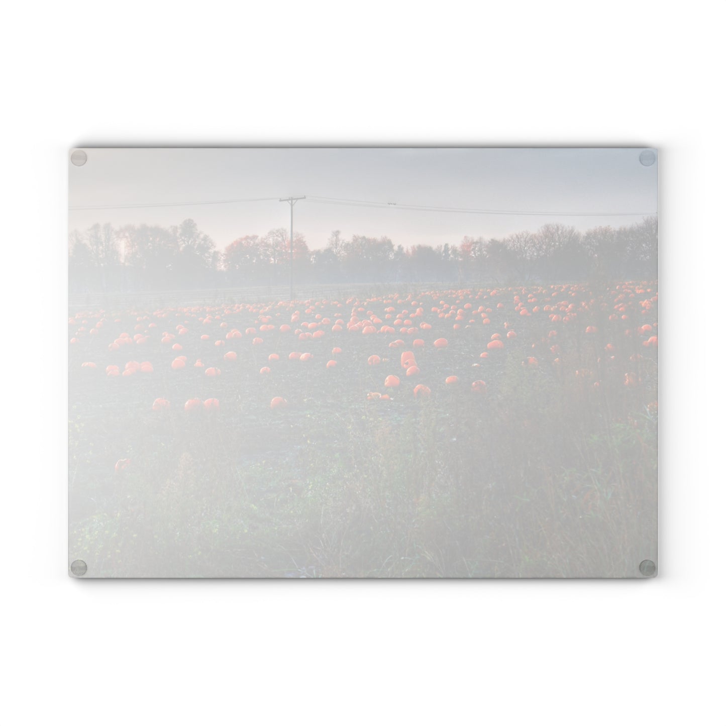 U R There Photography Five Lakes Pumpkins Rustic Farmhouse Tempered-Glass Cutting Board