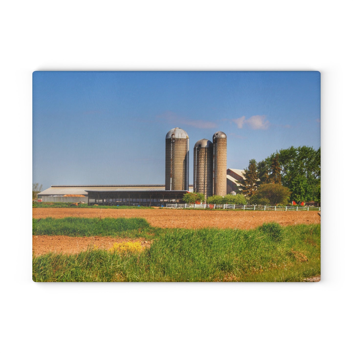 U R There Photography Leslie Road Hidden Rustic Farmhouse Tempered-Glass Cutting Board