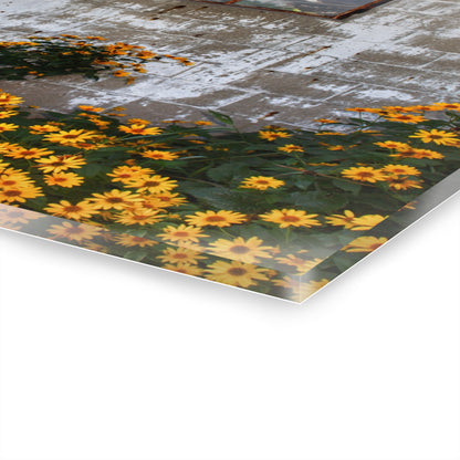 U R There Photography Golden Blooms on McDowell Rustic Farmhouse Acrylic Wall Print