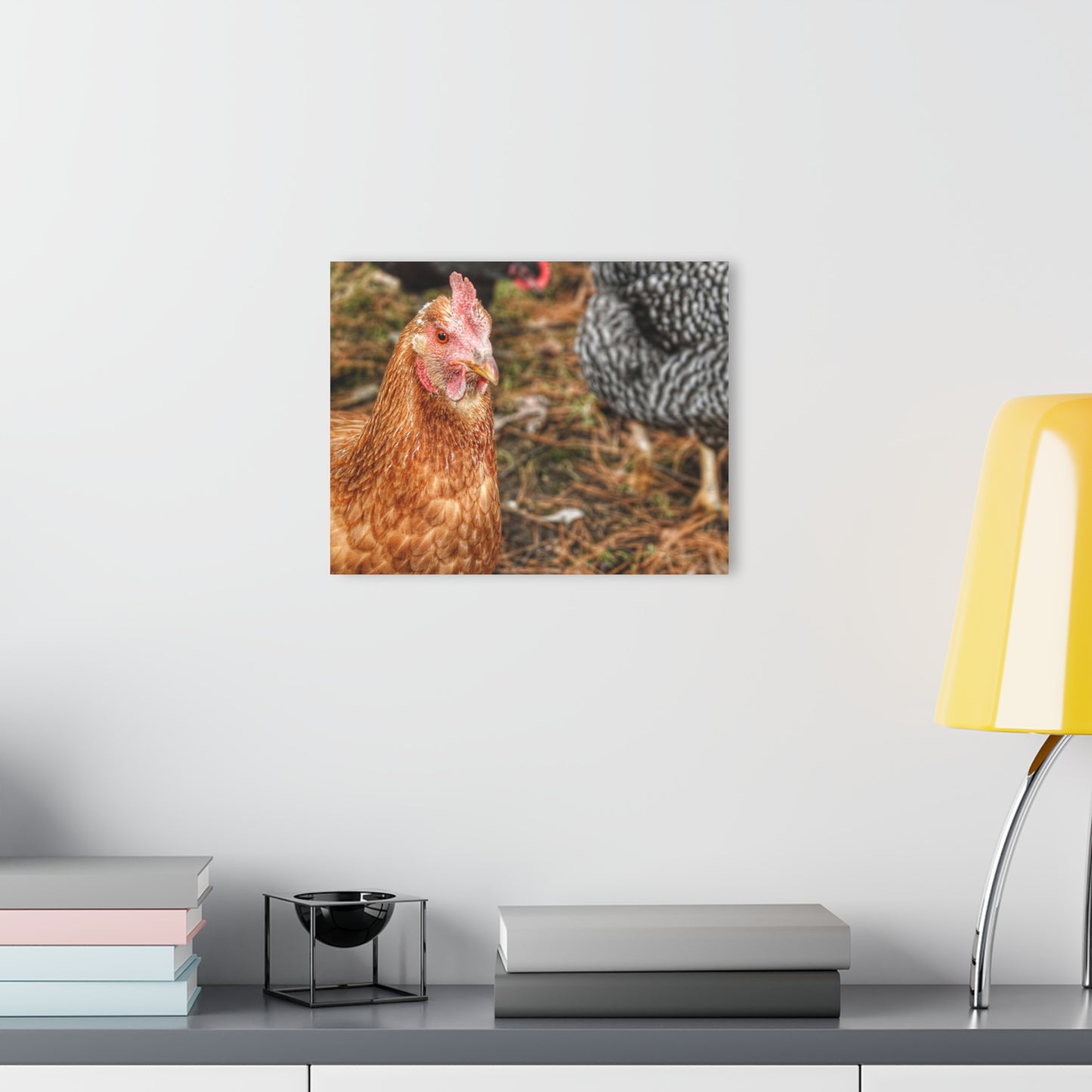 Barn Boutique Modern Farmhouse Acrylic Wall Print| Chicken for Hayley