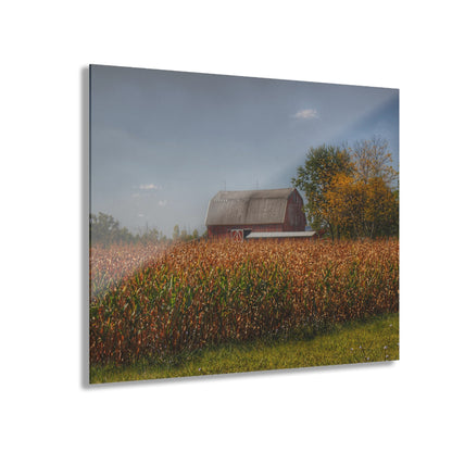U R There Photography Clifford Road Red III Rustic Farmhouse Acrylic Wall Print
