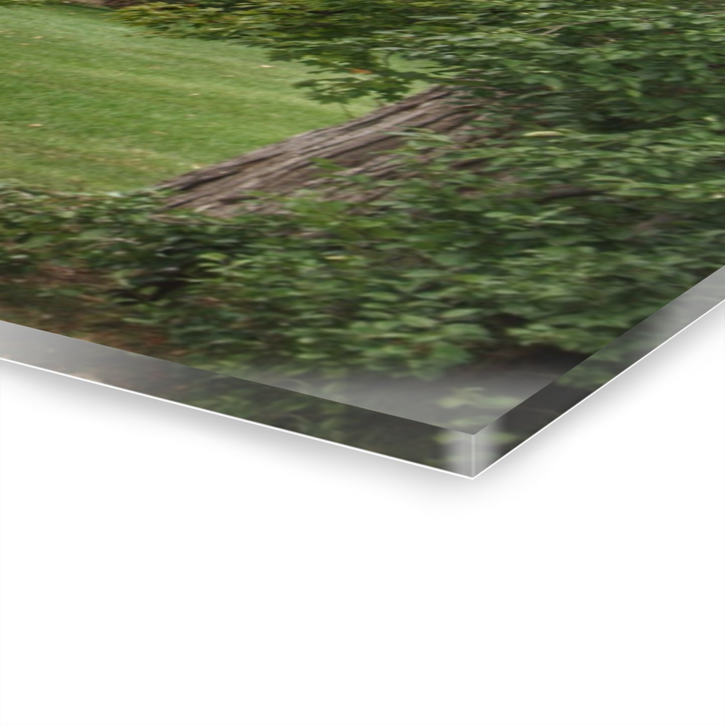 U R There Photography Hayes Road Hidden II Rustic Farmhouse Acrylic Wall Print