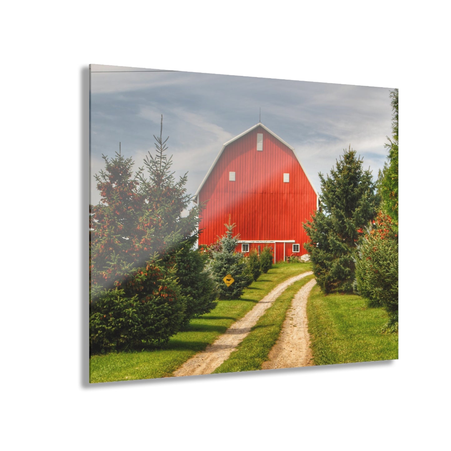 U R There Photography Brown City Road Pine Red Rustic Farmhouse Acrylic Wall Print