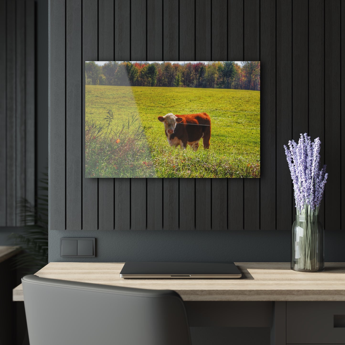 Barn Boutique Modern Farmhouse Acrylic Wall Print| Curry Road Cow