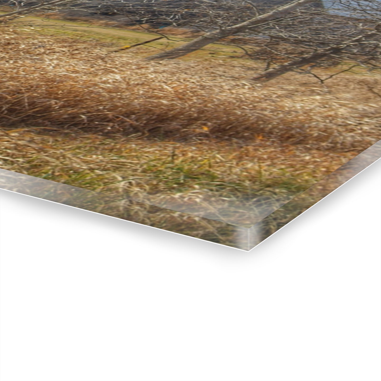U R There Photography Speaker Road Hidden Grey Rustic Farmhouse Acrylic Wall Print