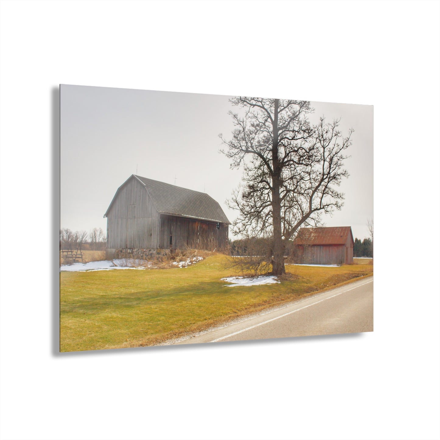 U R There Photography Roadside Greys Rustic Farmhouse Acrylic Wall Print