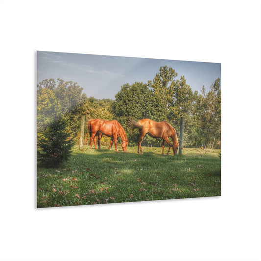 U R There Photography Caramel Horses Rustic Farmhouse Acrylic Wall Print