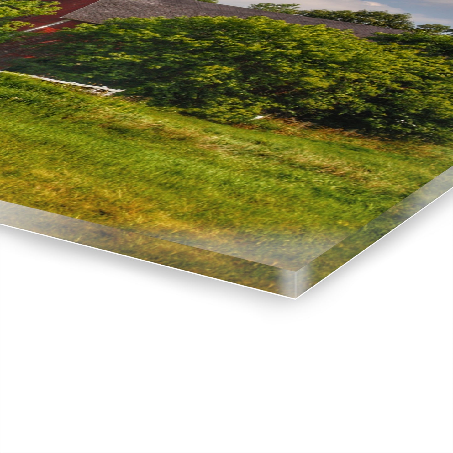 U R There Photography Hidden Red Beyond the Fence Rustic Farmhouse Acrylic Wall Print