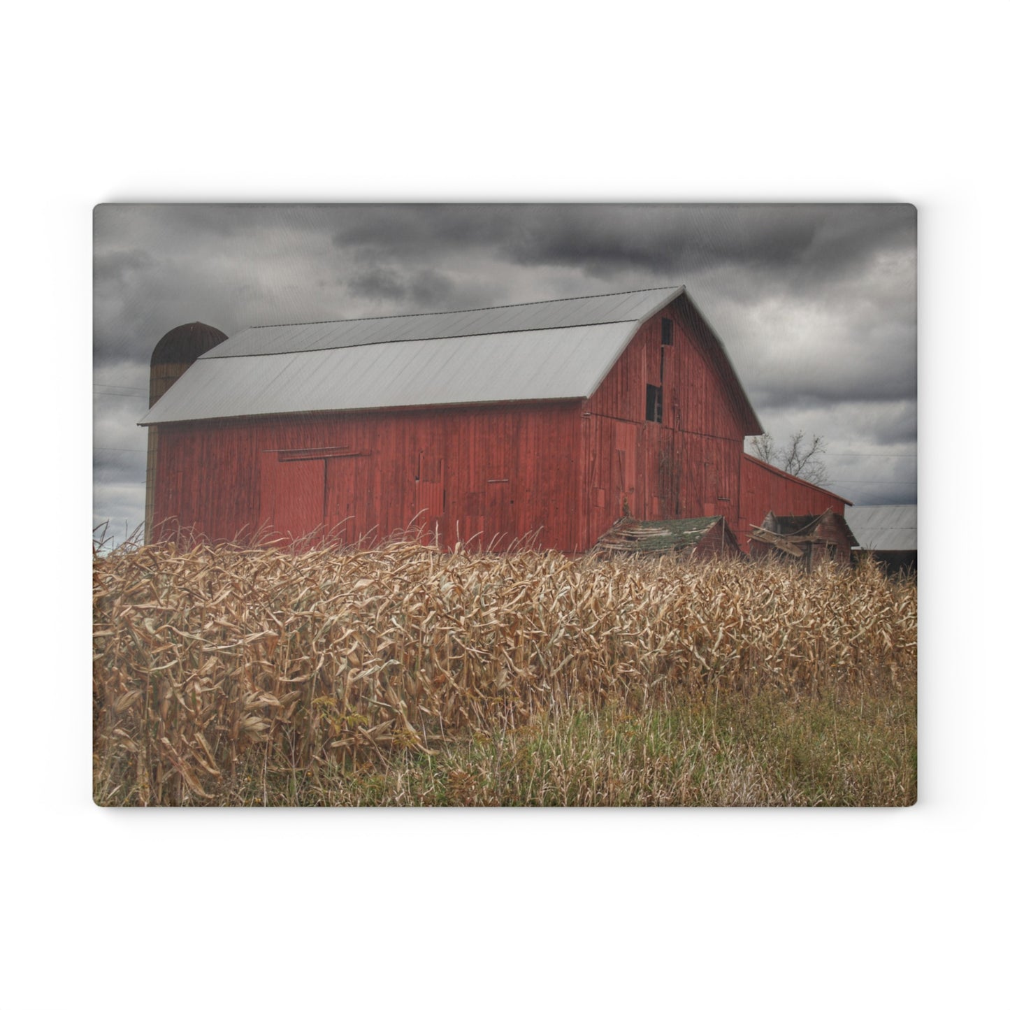 U R There Photography Horton Hilltop Red II Rustic Farmhouse Tempered-Glass Cutting Board