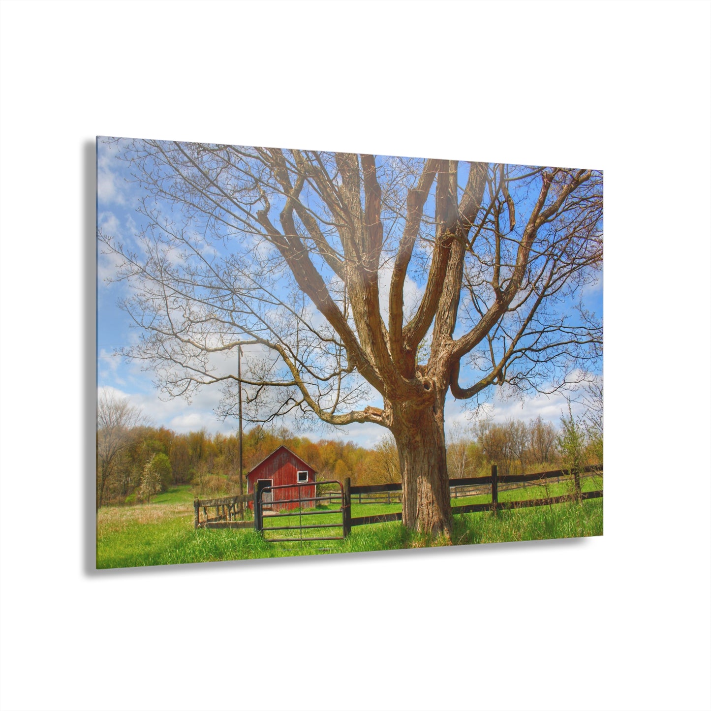 U R There Photography Delano Oak and Little Red Rustic Farmhouse Acrylic Wall Print