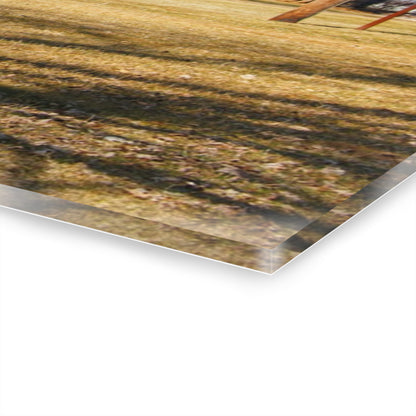 U R There Photography Wolcott Road Farm Rustic Farmhouse Acrylic Wall Print