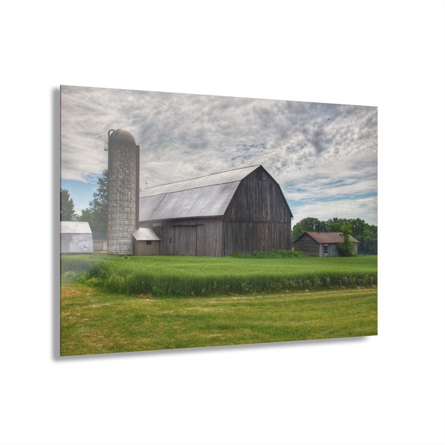 U R There Photography West Tuscola Road Grey Rustic Farmhouse Acrylic Wall Print
