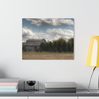 U R There Photography Sandusky Grey in the Pines Rustic Farmhouse Acrylic Wall Print