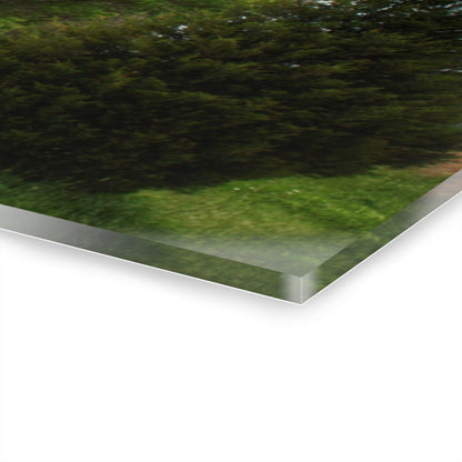 U R There Photography Higgins Road Greys Beyond the Greens Rustic Farmhouse Acrylic Wall Print