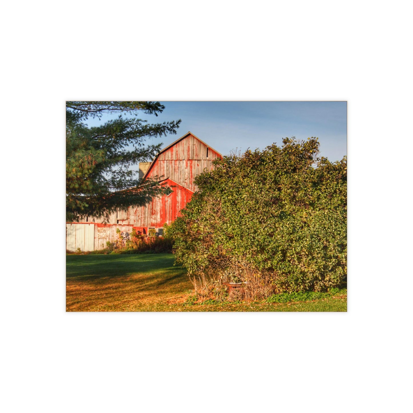 U R There Photography Cade Road Red II Rustic Farmhouse Decorative Ceramic Tile