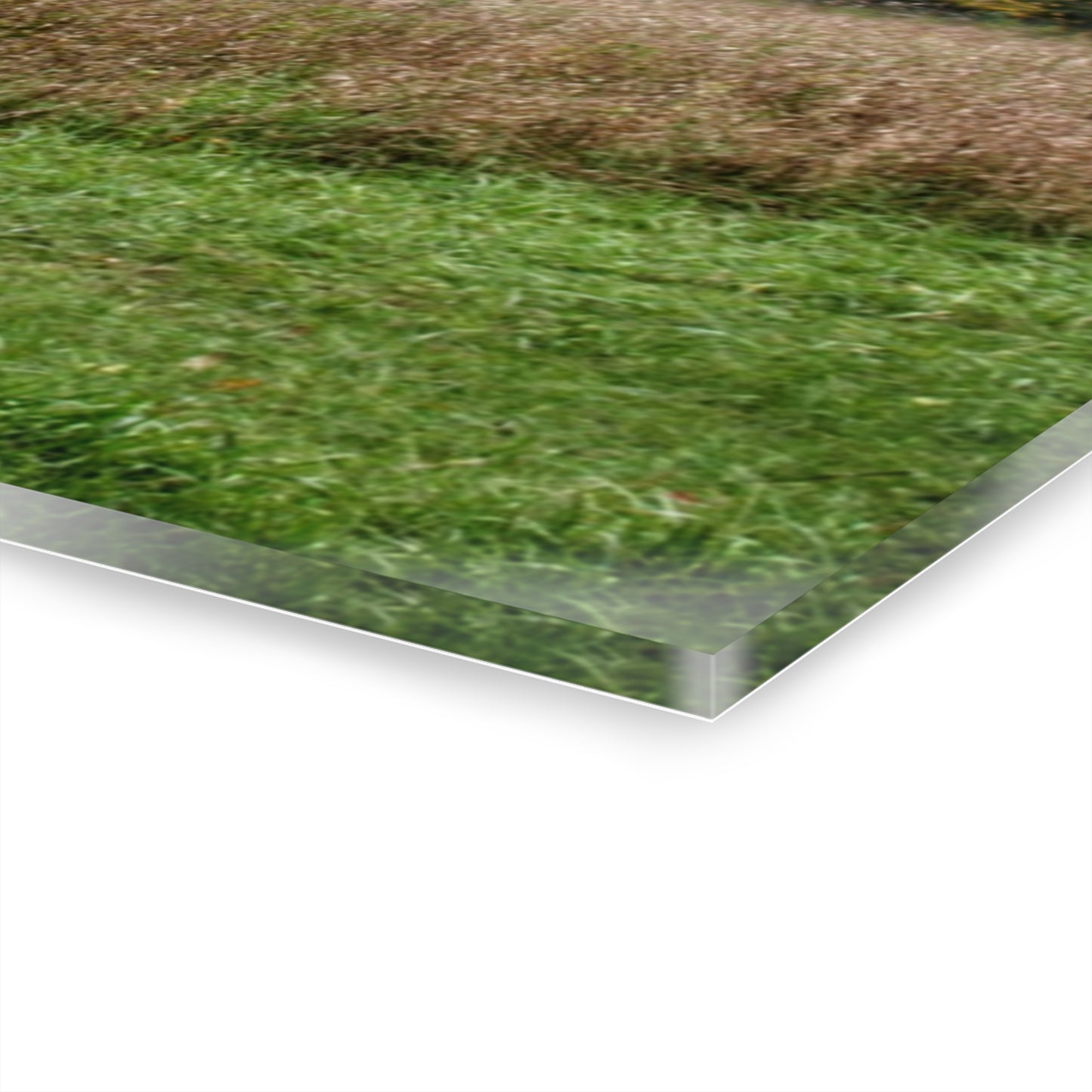 U R There Photography Mount Morris Road Grey in the Fall Rustic Farmhouse Acrylic Wall Print