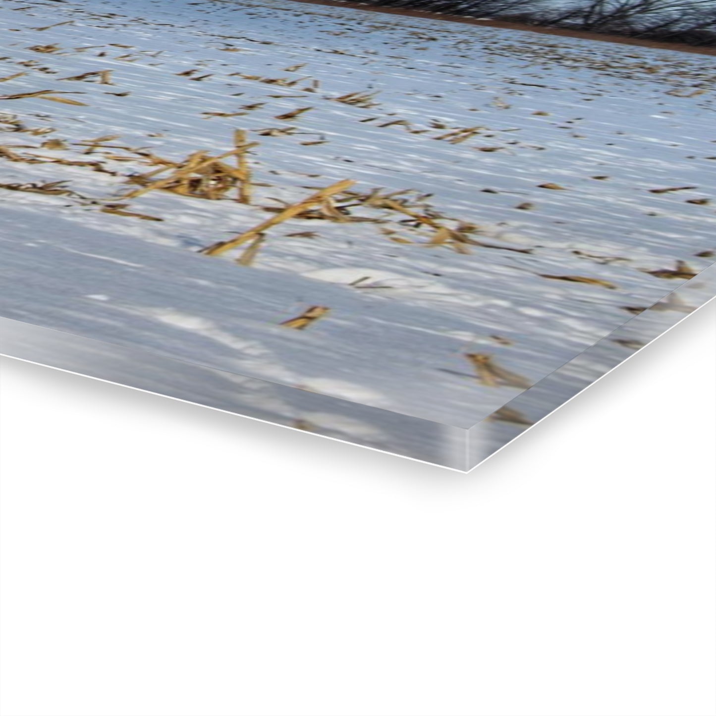 U R There Photography Across Barnes Road Frozen Cornfield Rustic Farmhouse Acrylic Wall Print