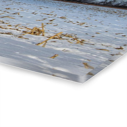 U R There Photography Across Barnes Road Frozen Cornfield Rustic Farmhouse Acrylic Wall Print