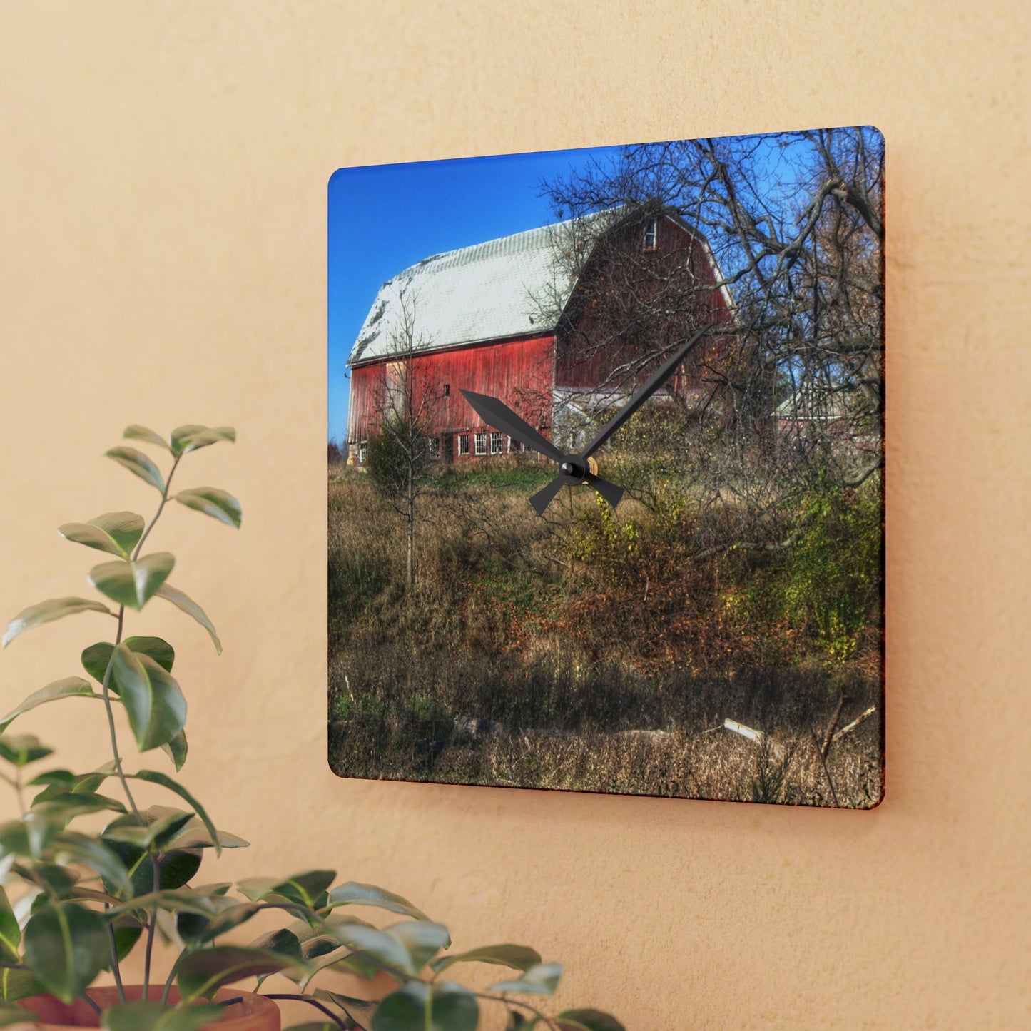 U R There Photography Hadley Red I Rustic Farmhouse Acrylic Analog Wall Clock