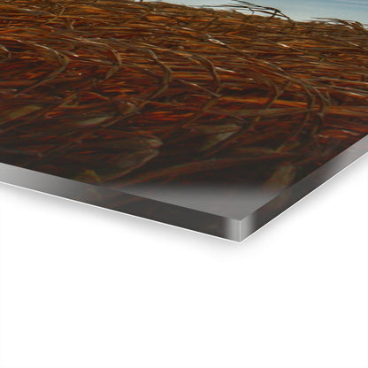 U R There Photography North Gera Road Windmill Rustic Farmhouse Acrylic Wall Print