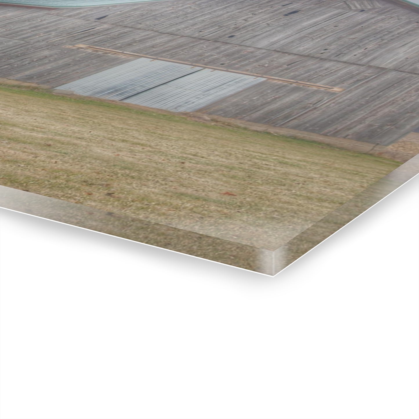 U R There Photography Forest Road Grey Rustic Farmhouse Acrylic Wall Print