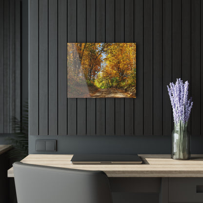 U R There Photography Harson Road in Fall I Rustic Farmhouse Acrylic Wall Print