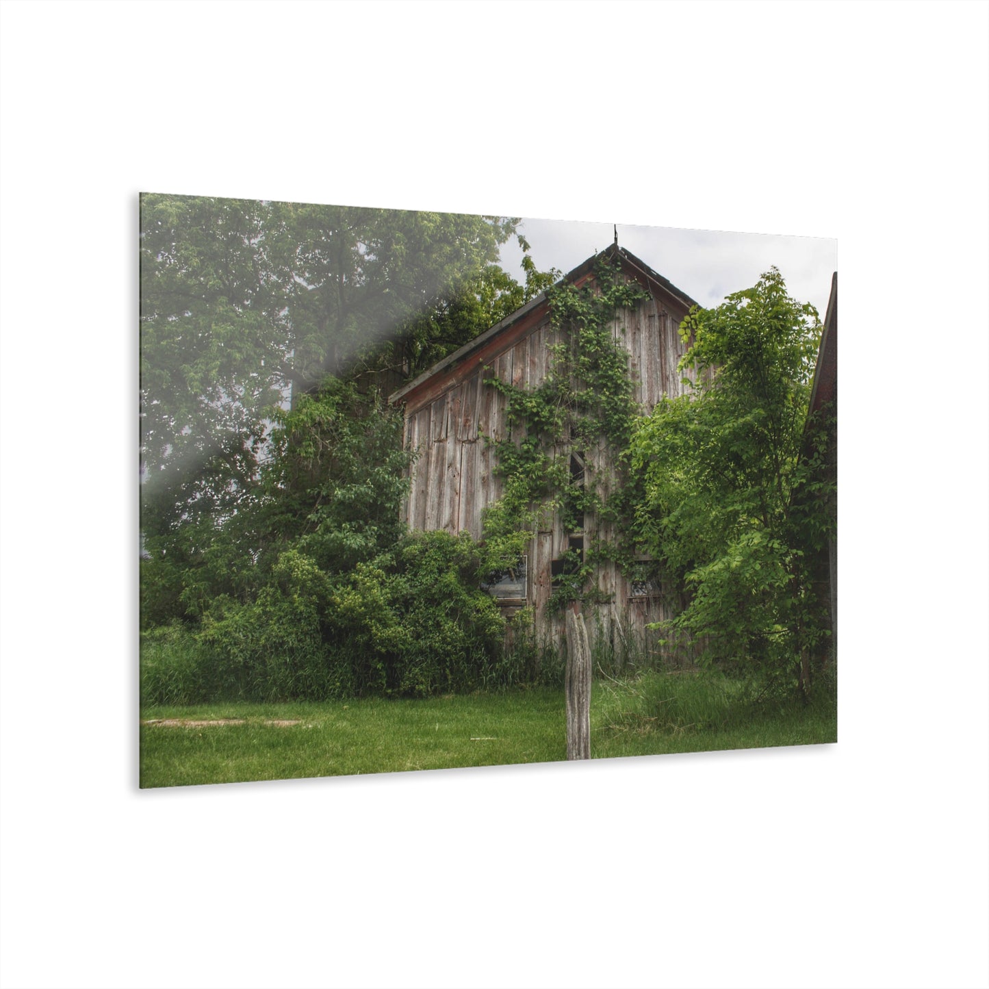 U R There Photography Imlay Hidden Rustic Farmhouse Acrylic Wall Print