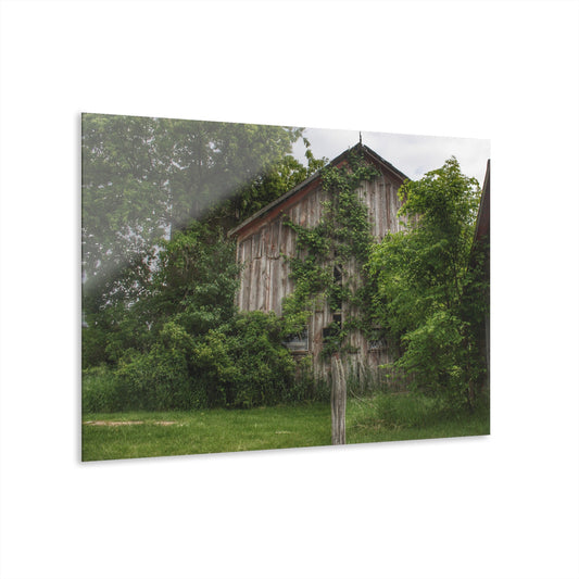 U R There Photography Imlay Hidden Rustic Farmhouse Acrylic Wall Print