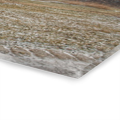 U R There Photography Mayville Road Grey Rustic Farmhouse Acrylic Wall Print