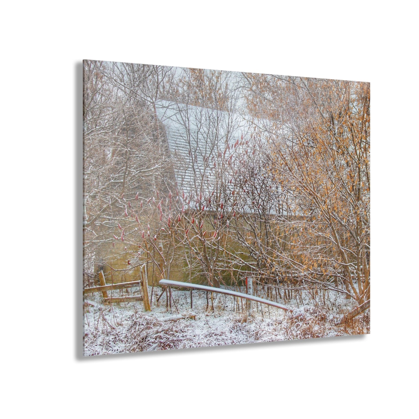 U R There Photography Dryden Road Hidden Winter Grey Rustic Farmhouse Acrylic Wall Print