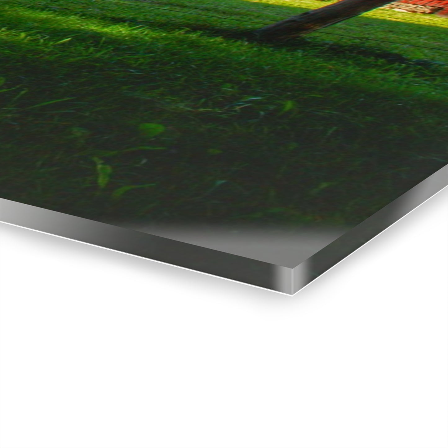 U R There Photography Frances Road Reds II Rustic Farmhouse Acrylic Wall Print