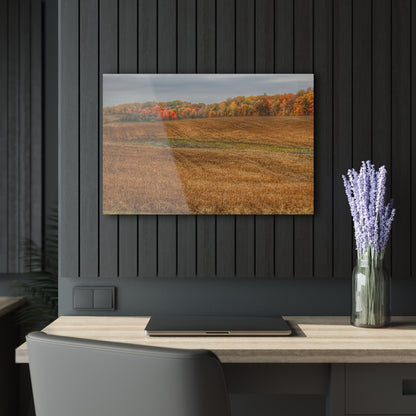 U R There Photography Colors of Fall on Lippincott Road Rustic Farmhouse Acrylic Wall Print