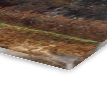 U R There Photography Dryden Road Reds and Playscape Rustic Farmhouse Acrylic Wall Print