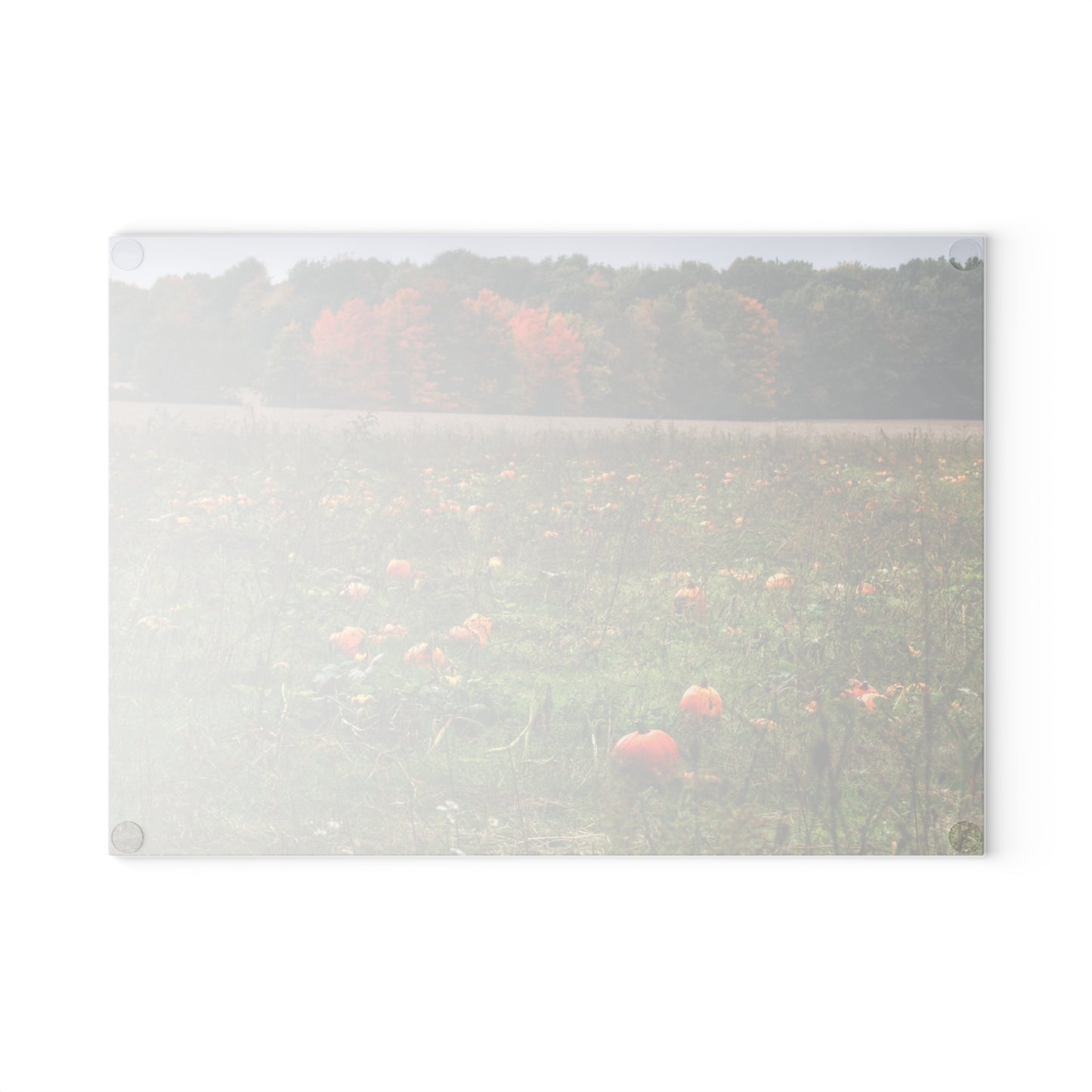 U R There Photography Once Upon a Time in a Pumpkin Patch Rustic Farmhouse Tempered-Glass Cutting Board