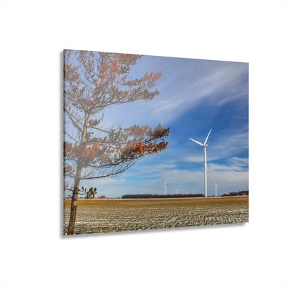 U R There Photography Winter Windmills Rustic Farmhouse Acrylic Wall Print