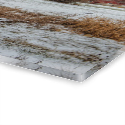 U R There Photography Frenchline Road Red Shack Rustic Farmhouse Acrylic Wall Print