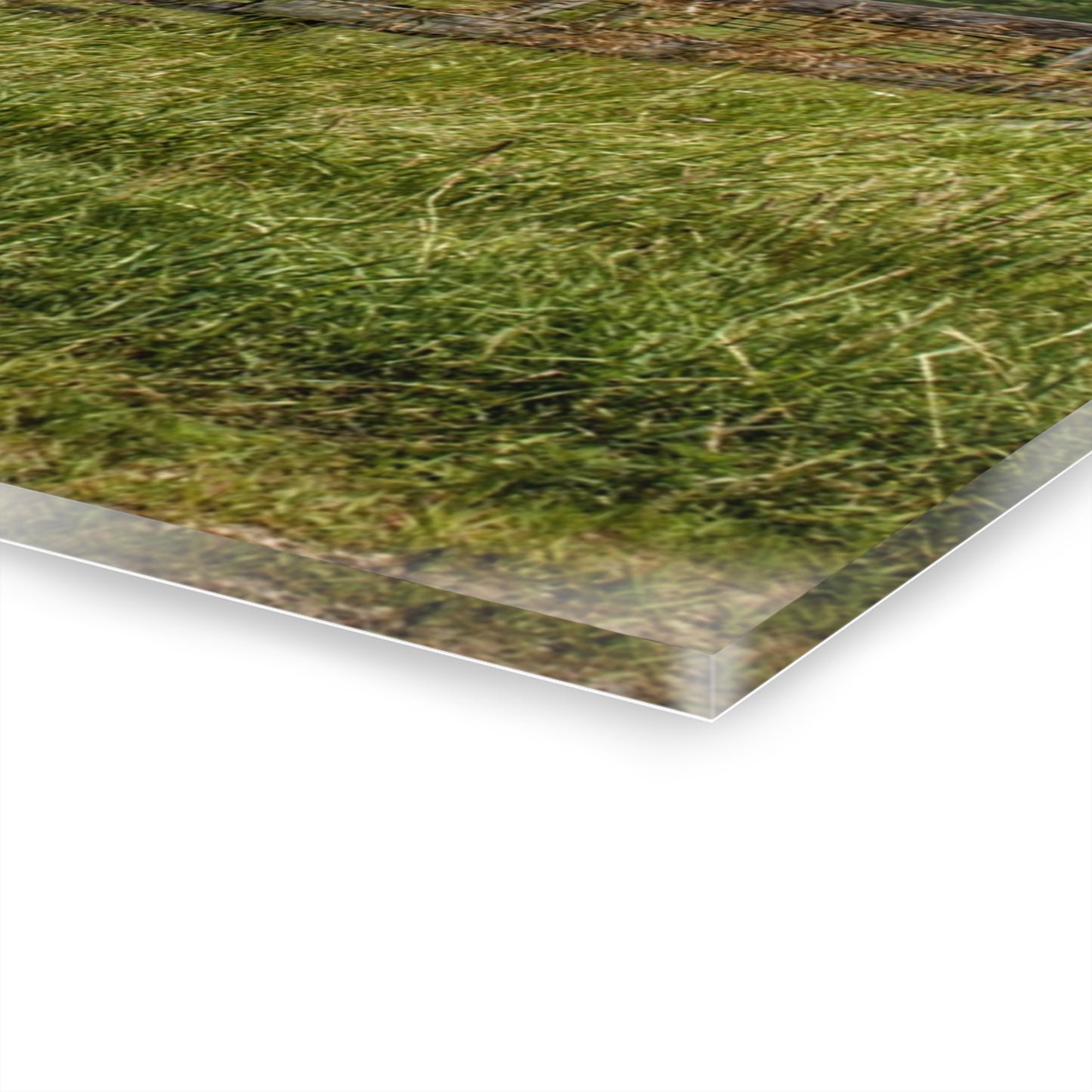 U R There Photography Millington Road Grey Horse Barn Rustic Farmhouse Acrylic Wall Print