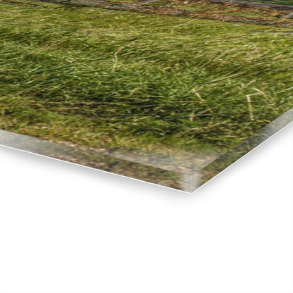 U R There Photography Millington Road Grey Horse Barn Rustic Farmhouse Acrylic Wall Print