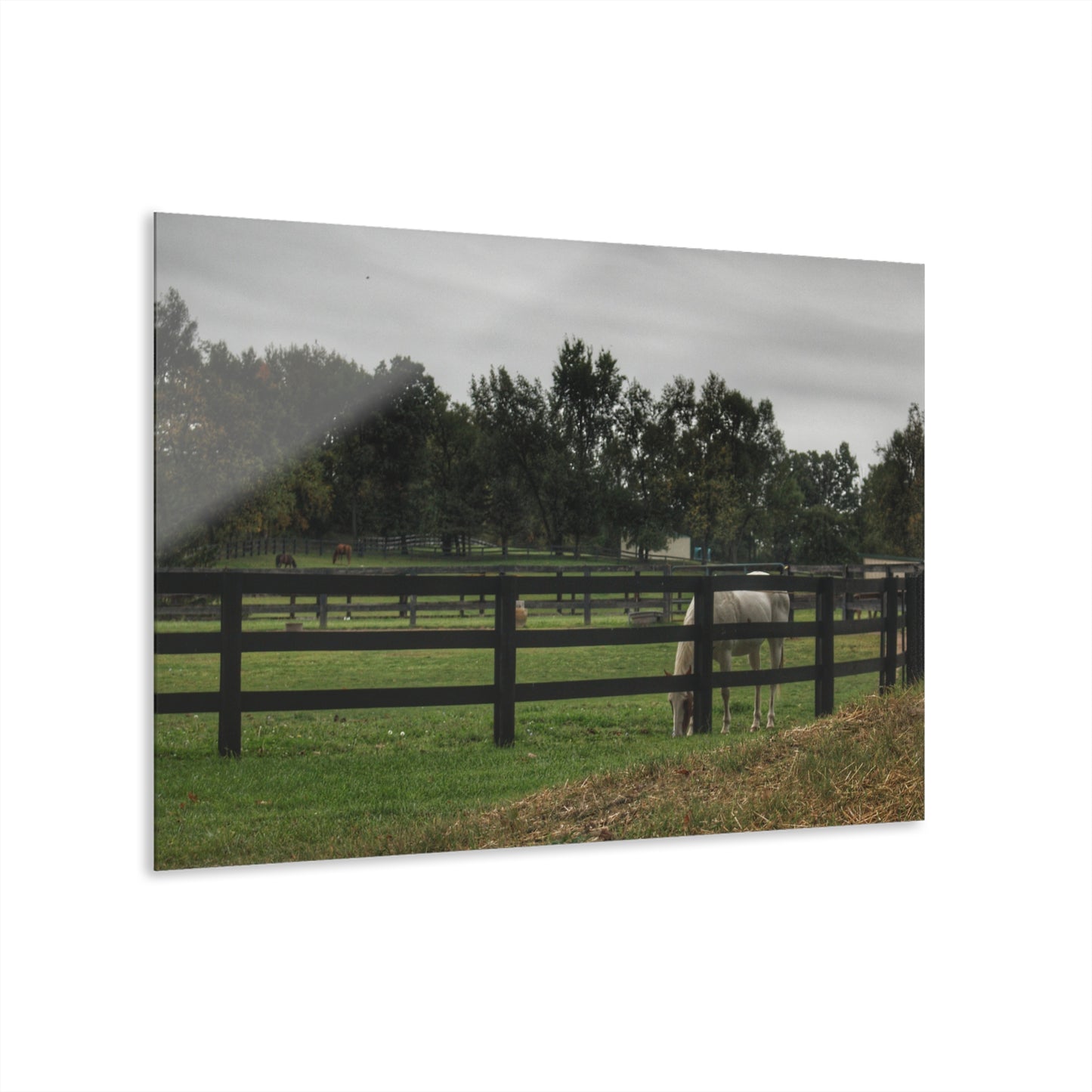 Barn Boutique Modern Farmhouse Acrylic Wall Print| Beyond the Fence White