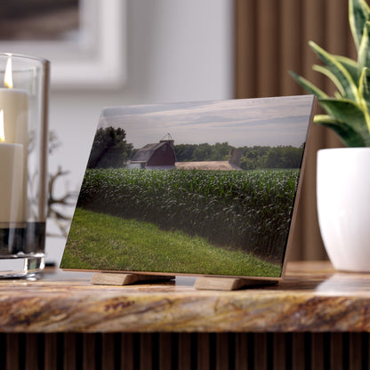 U R There Photography Above the Corn on Piersonville Road II Rustic Farmhouse Decorative Ceramic Tile