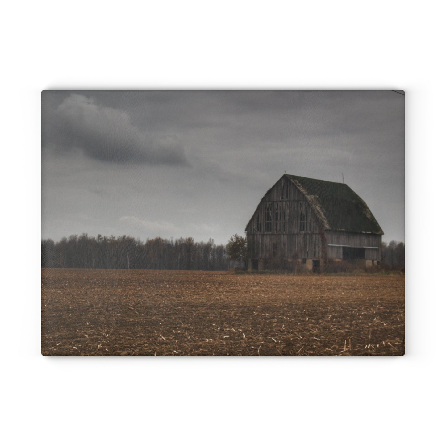 U R There Photography Stone Road Old Grey I Rustic Farmhouse Tempered-Glass Cutting Board