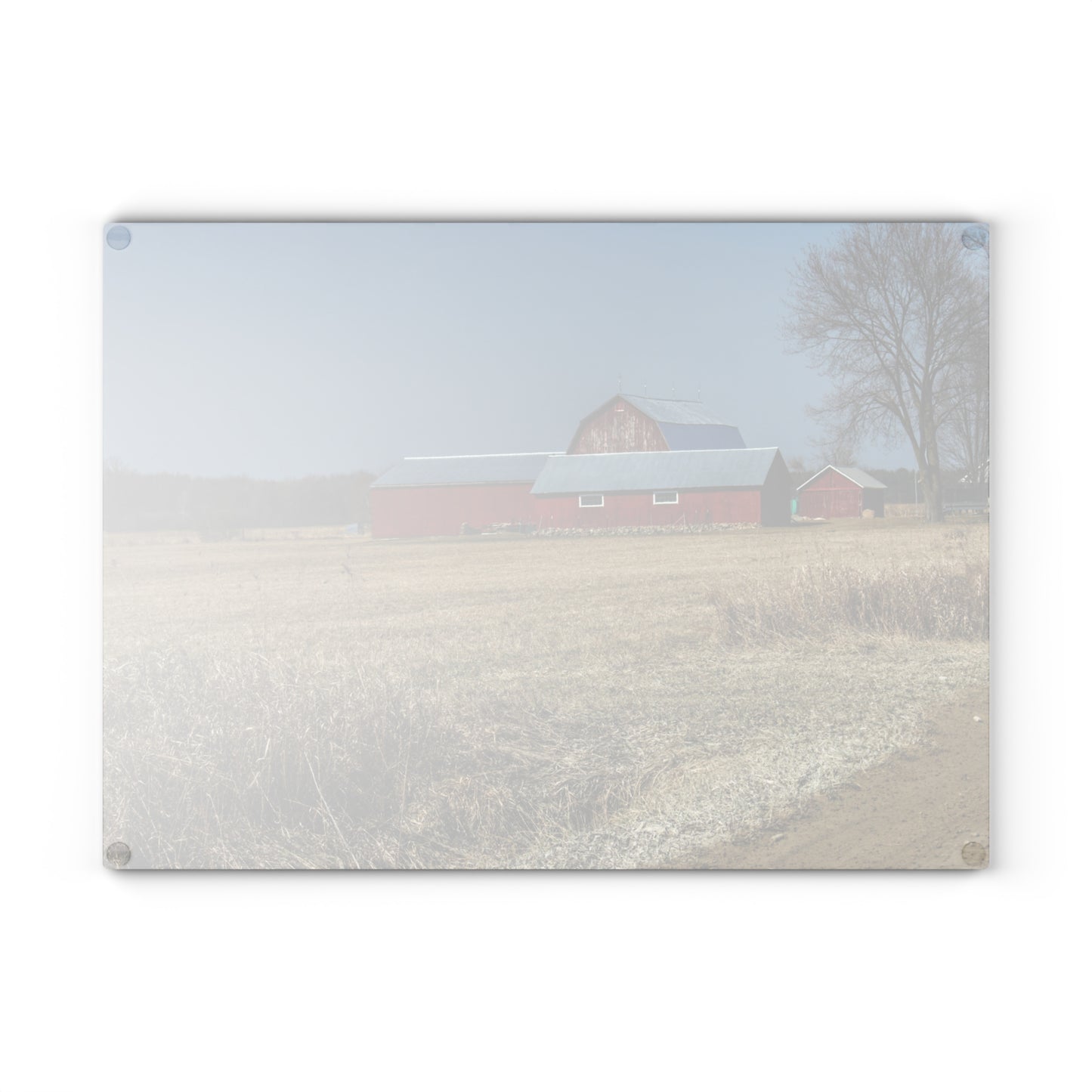 U R There Photography Romeo Plank Road Reds II Rustic Farmhouse Tempered-Glass Cutting Board