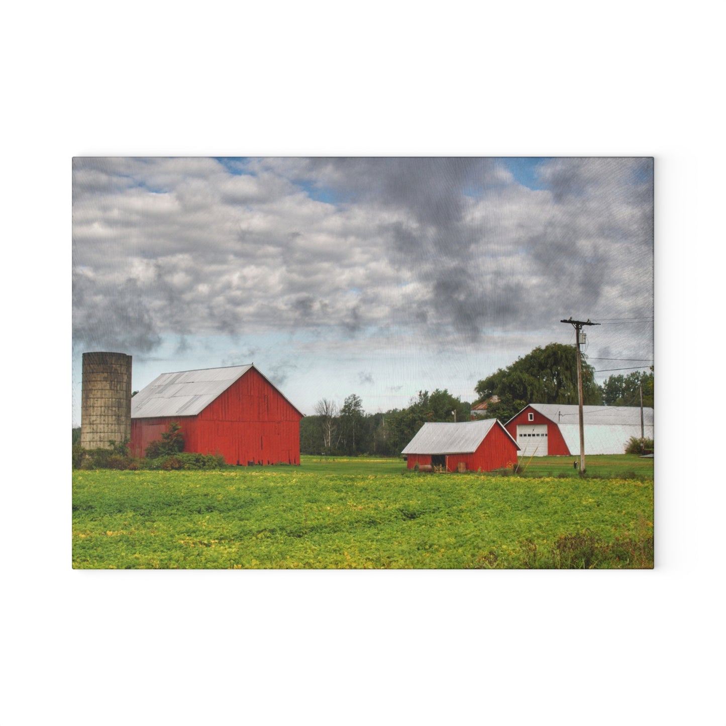 U R There Photography Kingston Road Trio III Rustic Farmhouse Tempered-Glass Cutting Board