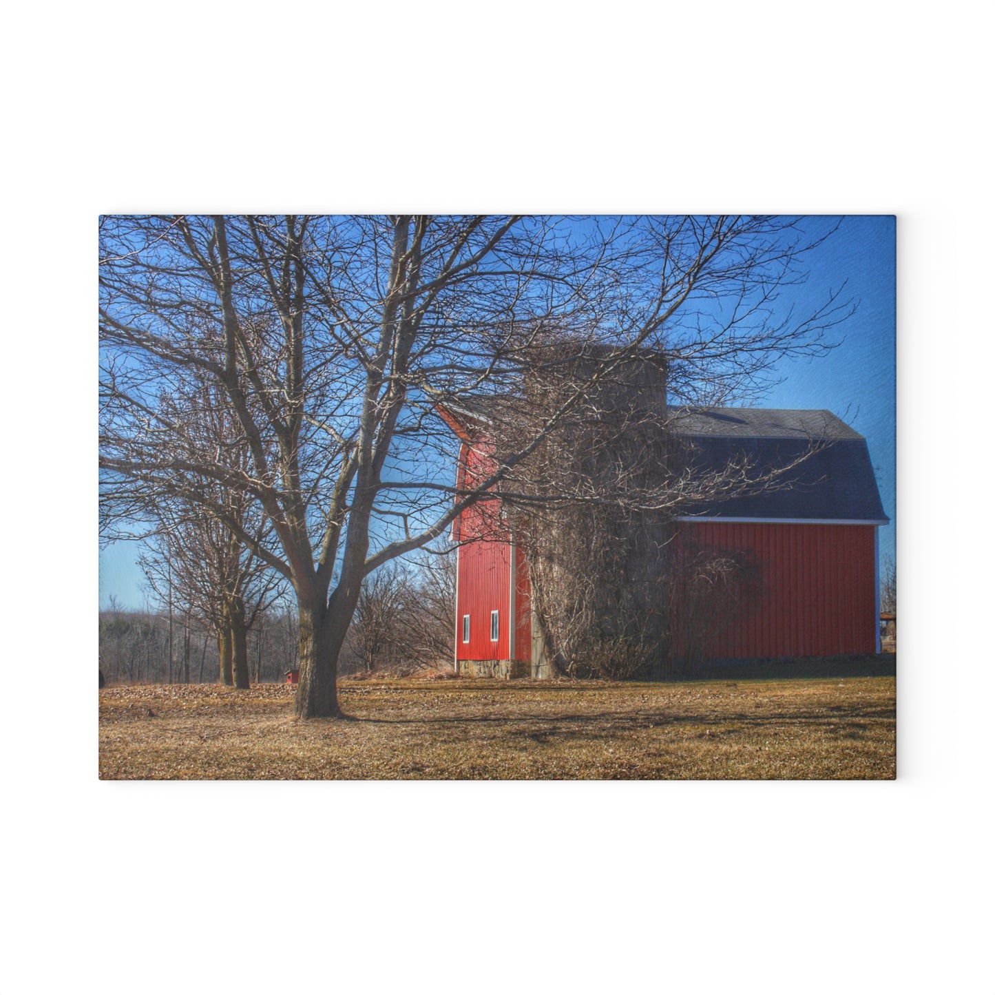 U R There Photography Leonard Road Red Rustic Farmhouse Tempered-Glass Cutting Board 8"x 11"