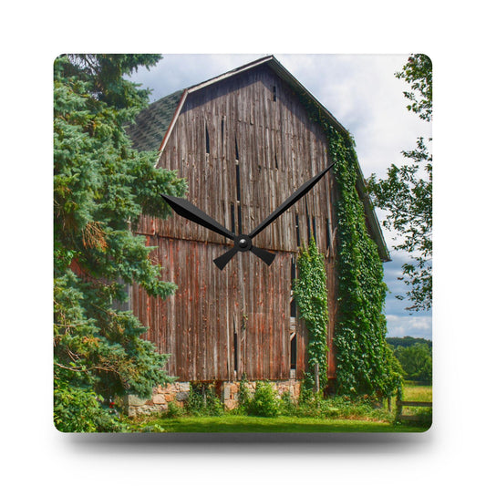 North Branch Ivy Grey I Rustic Farmhouse Acrylic Analog Wall Clock 10.75'' × 10.75'' (Square)