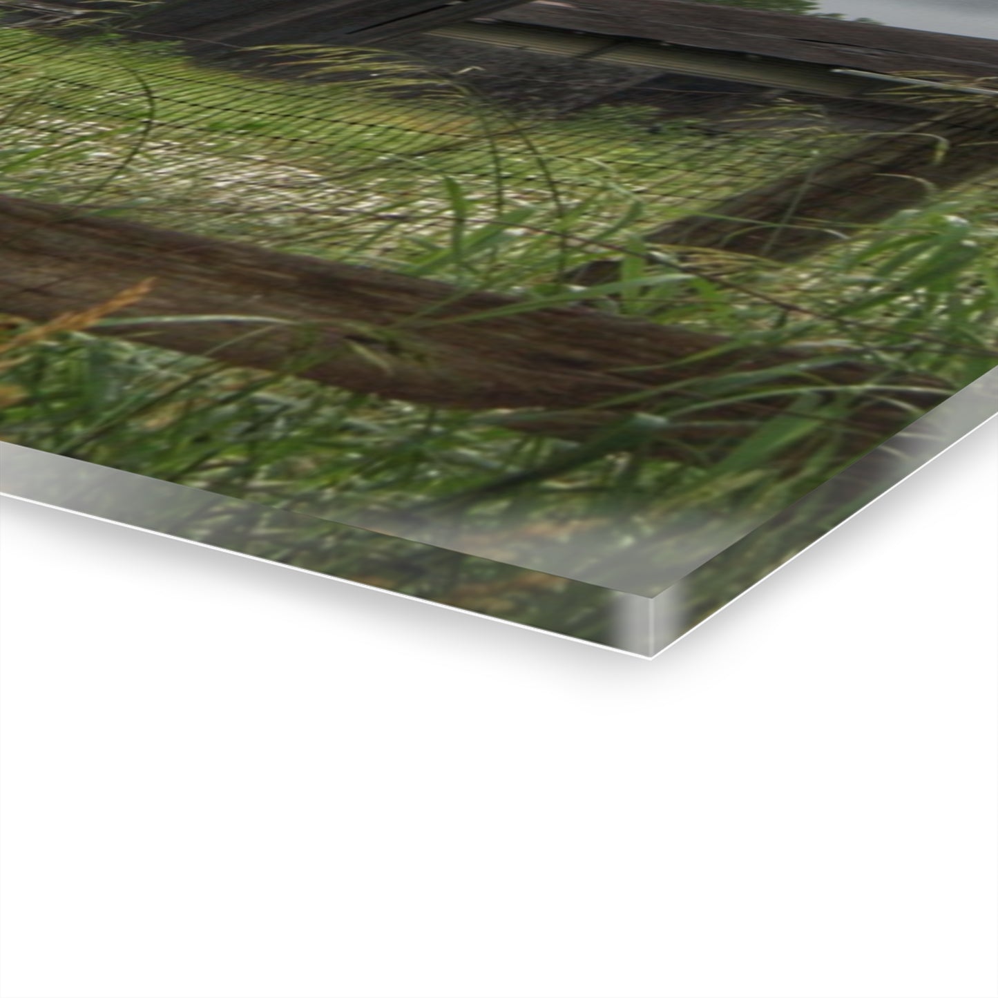 U R There Photography Greys of Summer Road Rustic Farmhouse Acrylic Wall Print