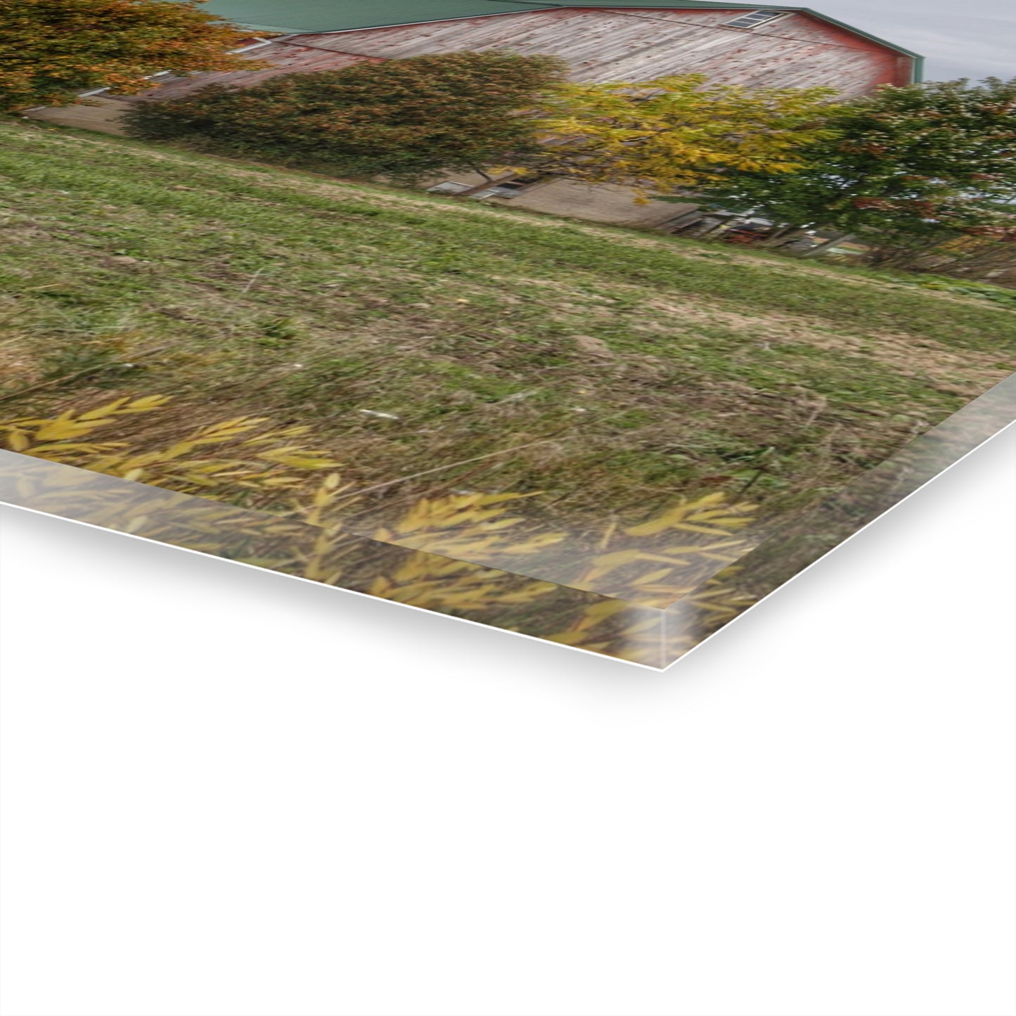 U R There Photography Elmwood Road Red II Rustic Farmhouse Acrylic Wall Print