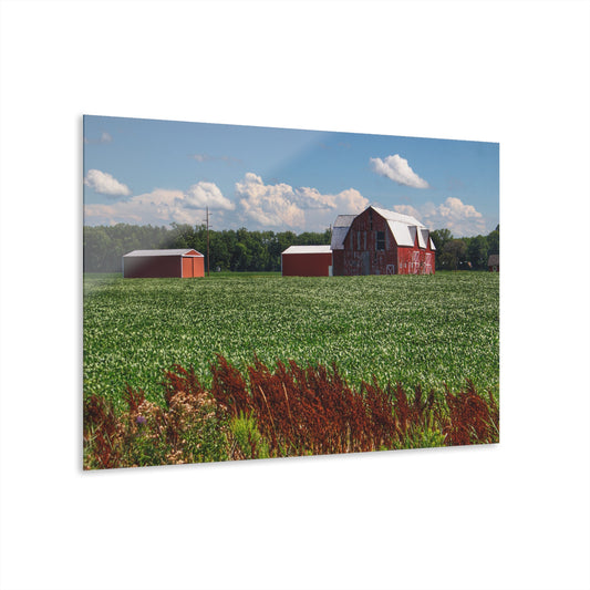 U R There Photography South Gera Road Red Rustic Farmhouse Acrylic Wall Print