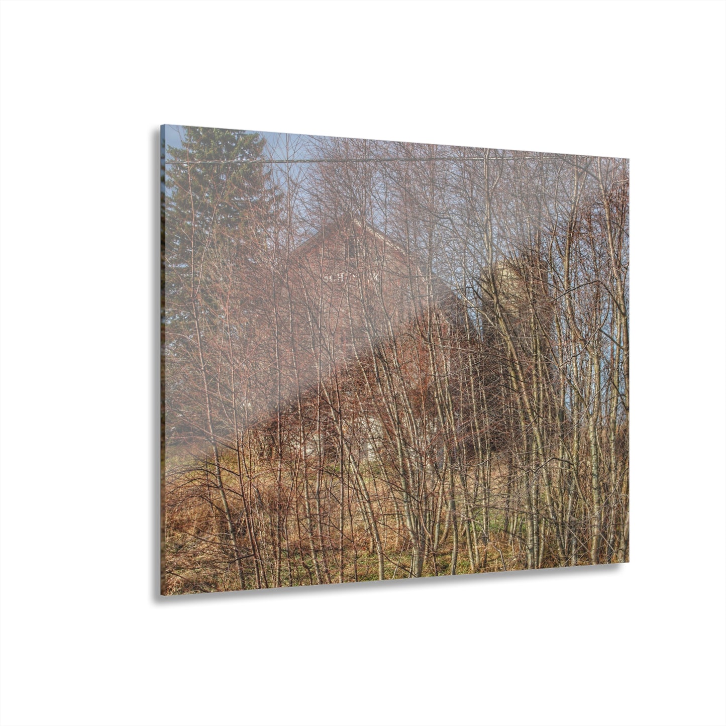 U R There Photography Otter Lake Hidden Red Rustic Farmhouse Acrylic Wall Print