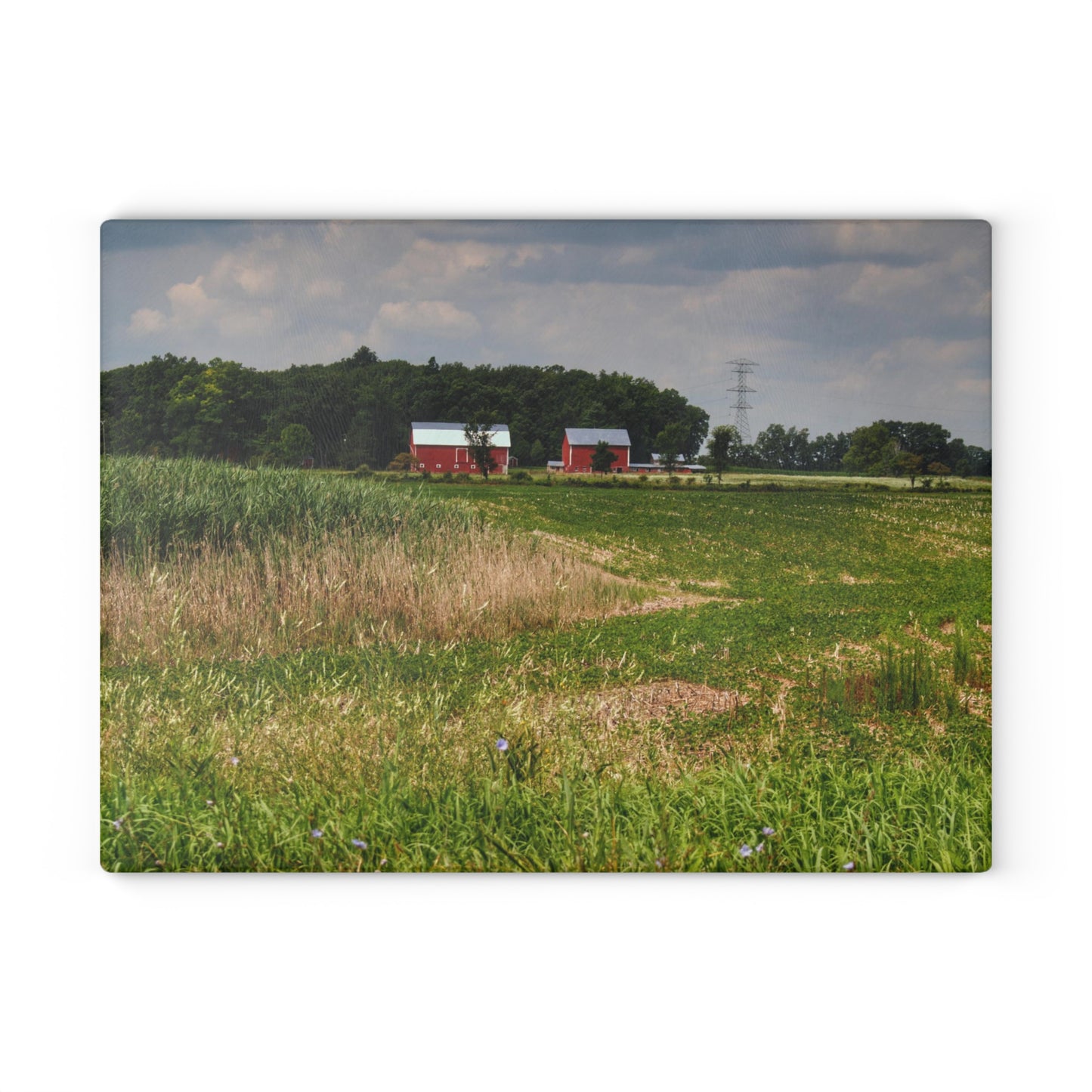 Barn Boutique Rustic Tempered-Glass Cutting Board| Across the Field in Elba II